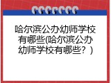 哈尔滨公办幼师学校有哪些(哈尔滨公办幼师学校有哪些？)