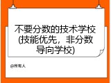 不要分数的技术学校(技能优先，非分数导向学校)