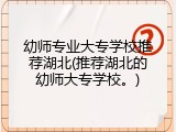 幼师专业大专学校推荐湖北(推荐湖北的幼师大专学校。)