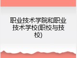 职业技术学院和职业技术学校(职校与技校)