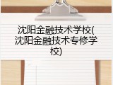沈阳金融技术学校(沈阳金融技术专修学校)
