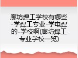 廊坊焊工学校有哪些-学焊工专业-学电焊的-学校啊(廊坊焊工专业学校一览)