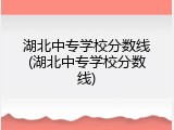 湖北中专学校分数线(湖北中专学校分数线)