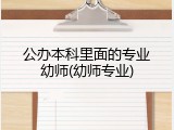 公办本科里面的专业幼师(幼师专业)