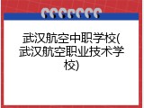 武汉航空中职学校(武汉航空职业技术学校)