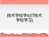 技术学校学it(IT技术学校学习)