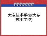 大专技术学校(大专技术学校)