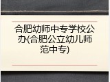 合肥幼师中专学校公办(合肥公立幼儿师范中专)