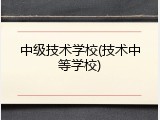 中级技术学校(技术中等学校)