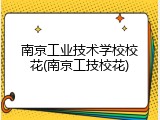 南京工业技术学校校花(南京工技校花)
