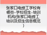 张家口电焊工学校有哪些-学校招生-培训机构(张家口电焊工培训及招生信息概览)