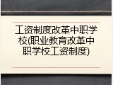 工资制度改革中职学校(职业教育改革中职学校工资制度)