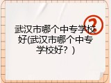武汉市哪个中专学校好(武汉市哪个中专学校好？)