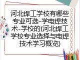河北焊工学校有哪些专业可选-学电焊技术-学校的(河北焊工学校专业选择与电焊技术学习概览)