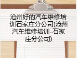 沧州好的汽车维修培训石家庄分公司(沧州汽车维修培训-石家庄分公司)