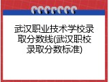 武汉职业技术学校录取分数线(武汉职校录取分数标准)