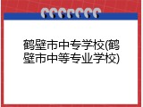 鹤壁市中专学校(鹤壁市中等专业学校)