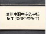 贵州中职中专的学校招生(贵州中专招生)