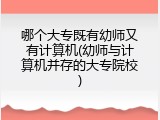 哪个大专既有幼师又有计算机(幼师与计算机并存的大专院校)