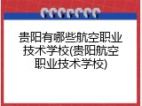 贵阳有哪些航空职业技术学校(贵阳航空职业技术学校)