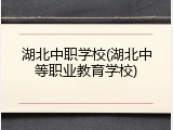 湖北中职学校(湖北中等职业教育学校)