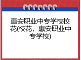 惠安职业中专学校校花(校花，惠安职业中专学校)