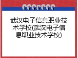 武汉电子信息职业技术学校(武汉电子信息职业技术学校)