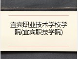 宜宾职业技术学校学院(宜宾职技学院)