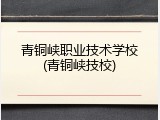 青铜峡职业技术学校(青铜峡技校)
