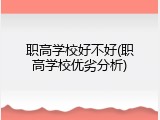 职高学校好不好(职高学校优劣分析)