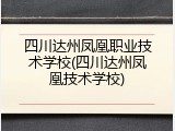 四川达州凤凰职业技术学校(四川达州凤凰技术学校)