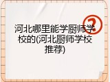 河北哪里能学厨师学校的(河北厨师学校推荐)