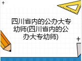 四川省内的公办大专幼师(四川省内的公办大专幼师)