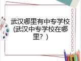 武汉哪里有中专学校(武汉中专学校在哪里？)