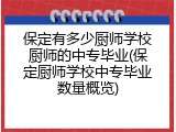 保定有多少厨师学校厨师的中专毕业(保定厨师学校中专毕业数量概览)