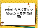 武汉中专学校要多少钱(武汉中专学校费用)
