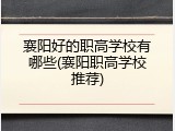 襄阳好的职高学校有哪些(襄阳职高学校推荐)