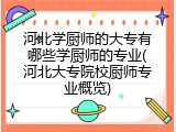 河北学厨师的大专有哪些学厨师的专业(河北大专院校厨师专业概览)