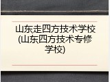 山东走四方技术学校(山东四方技术专修学校)