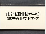 咸宁市职业技术学校(咸宁职业技术学校)