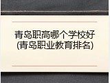 青岛职高哪个学校好(青岛职业教育排名)