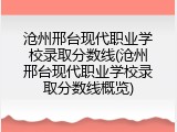 沧州邢台现代职业学校录取分数线(沧州邢台现代职业学校录取分数线概览)