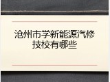 沧州市学新能源汽修技校有哪些