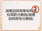 湖南幼师高等专科学校高职分数线(湖南幼师高专分数线)