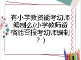 有小学教资能考幼师编制么(小学教师资格能否报考幼师编制？)