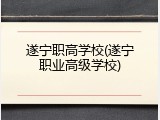 遂宁职高学校(遂宁职业高级学校)
