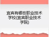 宜宾有哪些职业技术学校(宜宾职业技术学院)