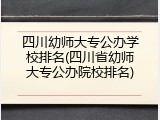 四川幼师大专公办学校排名(四川省幼师大专公办院校排名)