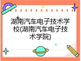 湖南汽车电子技术学校(湖南汽车电子技术学院)