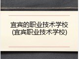 宜宾的职业技术学校(宜宾职业技术学校)